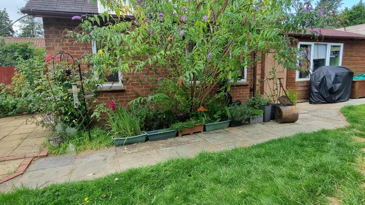 Bed and Breakfast Glebe House, Private Entrance, Free Parking On Drive, Self Check In, Netflix Ашфорд Екстер'єр фото